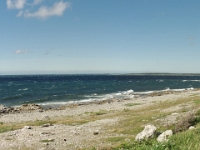 54615PaCrLe - Along Route 430 - Views of the Gulf of St Lawrence and Labrador (enroute from Gander to Quirpon).jpg